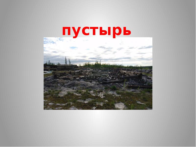 Пустырь за библиотекой мгу. Пустыри тюмень. Поле пустырь. Пустырь воронеж. Почему пустырь.