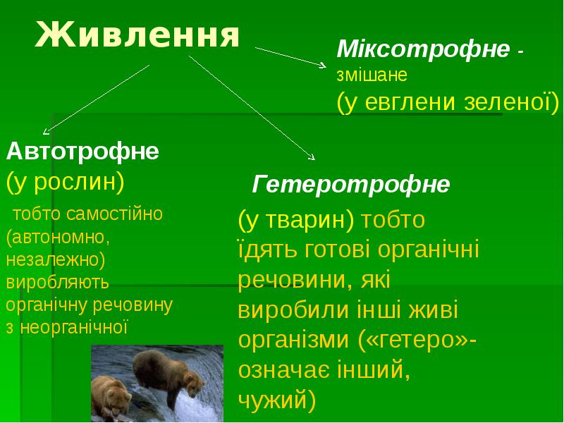 Живлення    Гетеротрофне    (у тварин) тобто