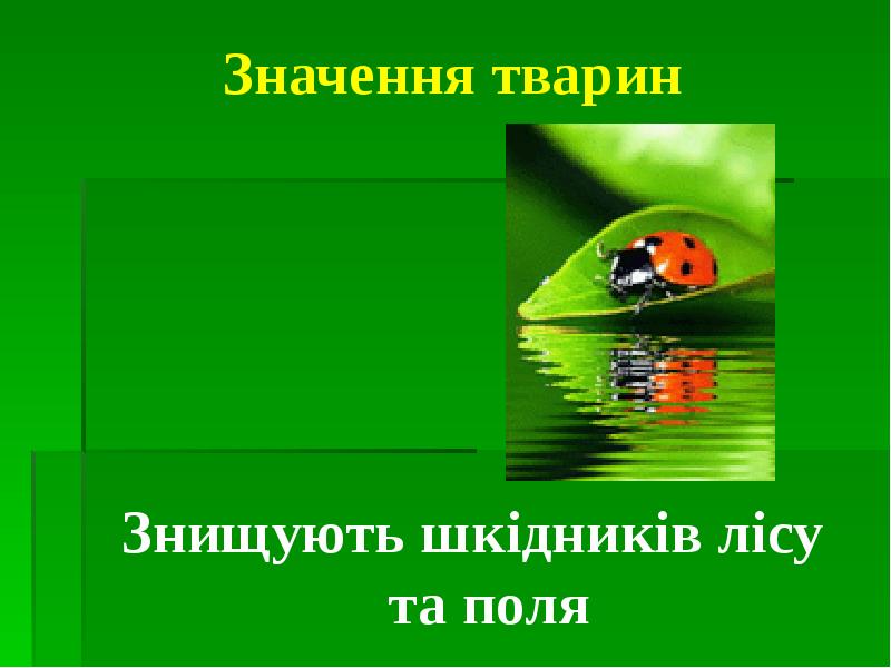 Значення тварин Знищують шкідників лісу та поля