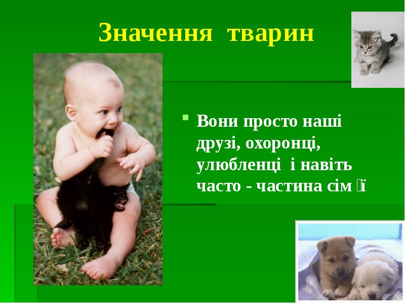 Значення тварин Вони просто наші друзі, охоронці, улюбленці і навіть часто