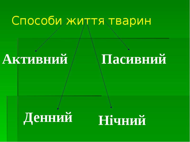 Способи життя тварин