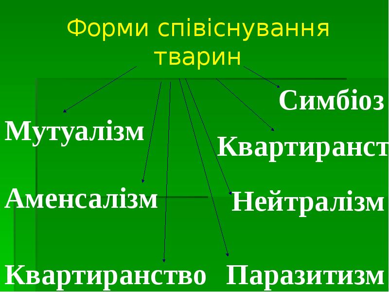 Форми співіснування тварин