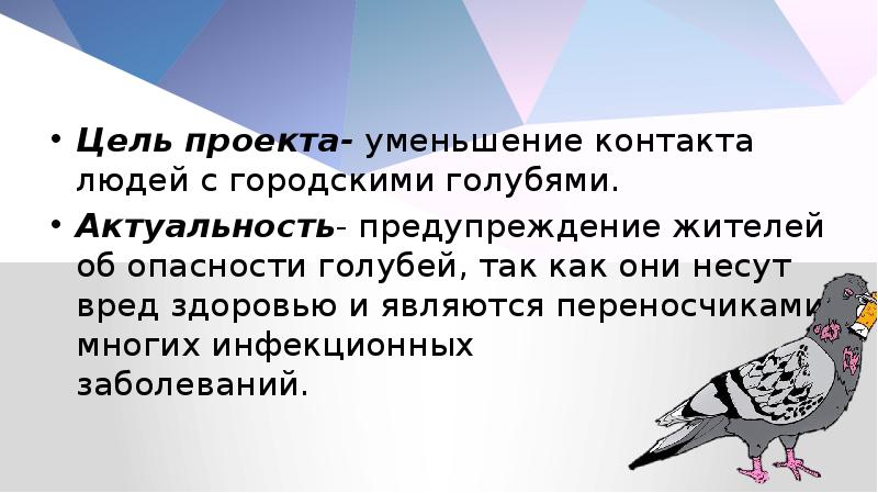 Цель проекта- уменьшение контакта людей с городскими голубями. Актуальность- предупреждение жителей