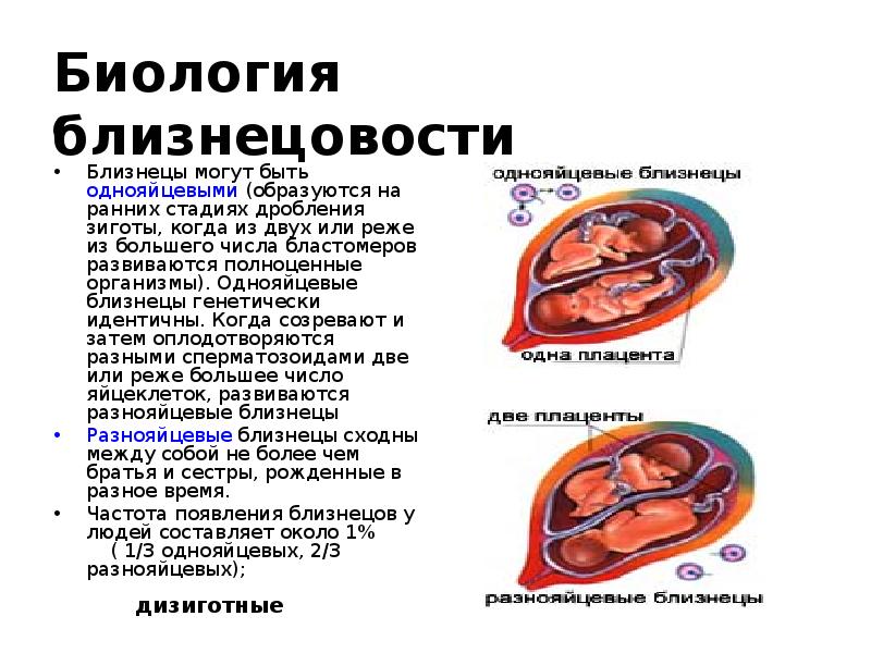 Презентация генные болезни по медицинской генетике