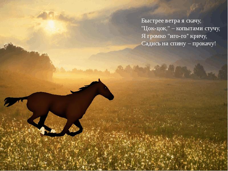 Лошадка цок цок цок. Конь быстрее ветра. Быстрее ветра лошади. Мой конь. Цок цок лошадка.
