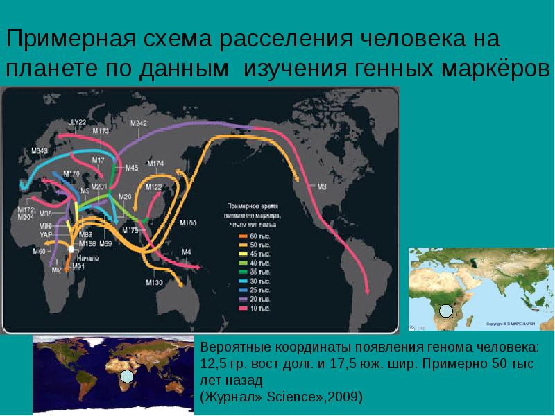 Расселение людей по американским континентам началось