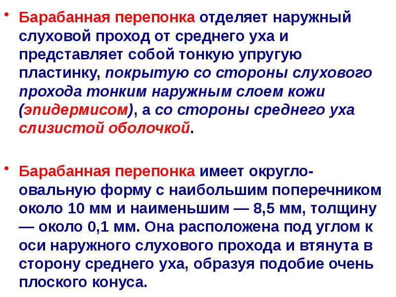 Что отделяет наружное ухо от среднего