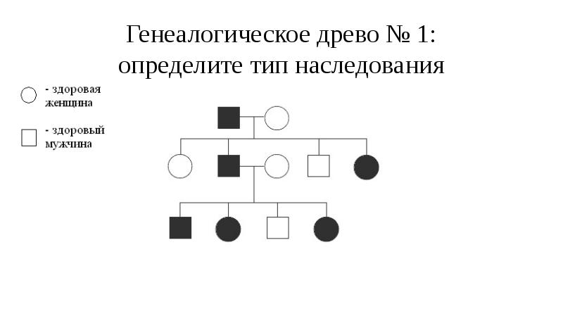 Генеалогическое Древо типы наследования. Типы наследования признаков. Определить Тип наследования признака. Нетрадиционный Тип наследования.