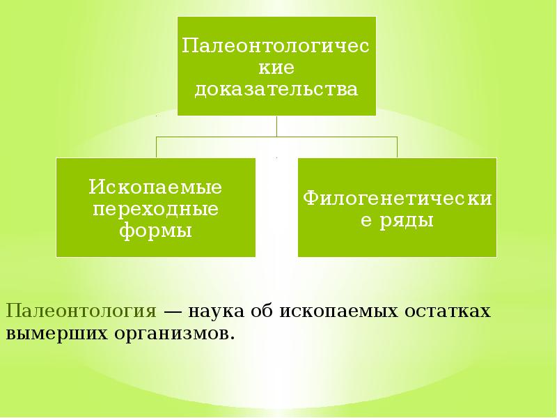 Основные доказательства эволюции презентация