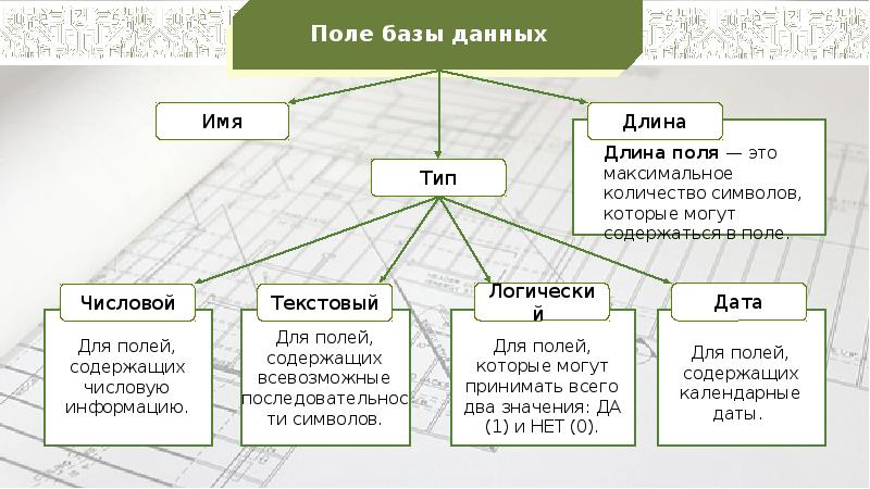 База данных как модель предметной области презентация 11 класс