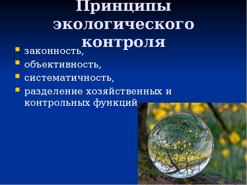 Экологические принципы. Экологический контроль. Система экологического контроля. Принципы и методы экологического контроля. Принципы экологического надзора.