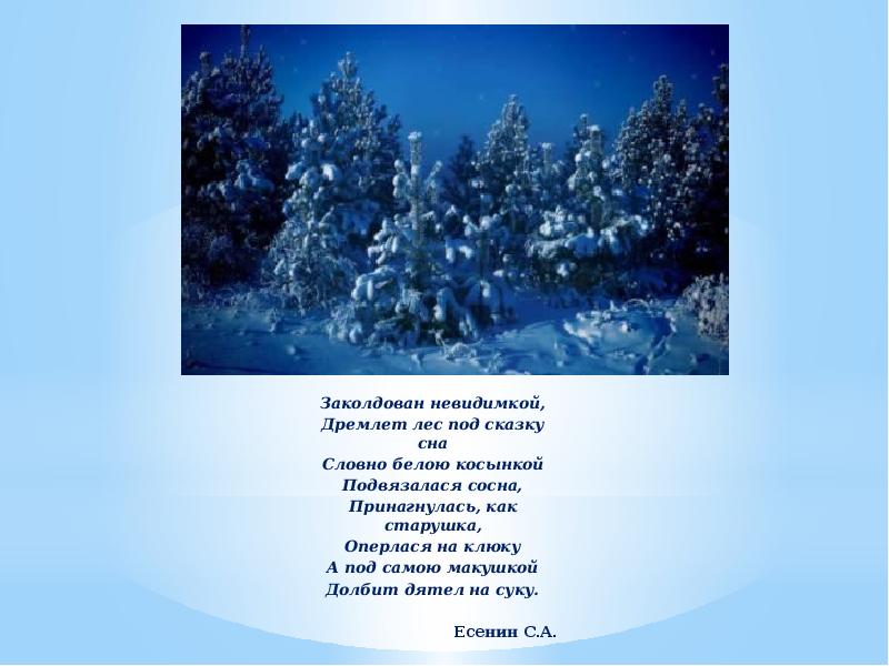 Как называется изображение неживой природы как живого существа дремлет лес под сказку сна