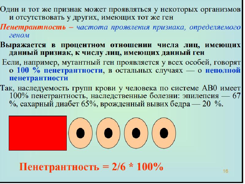 Схема виды изменчивости