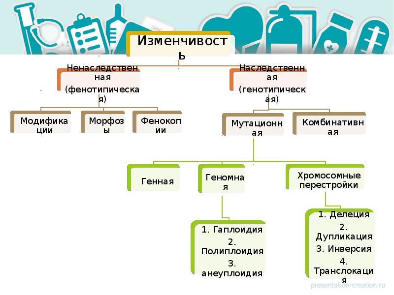 Виды мутаций презентация биология 10 класс