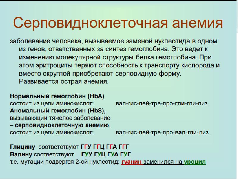 Виды изменчивости и виды мутаций у человека факторы мутагенеза презентация