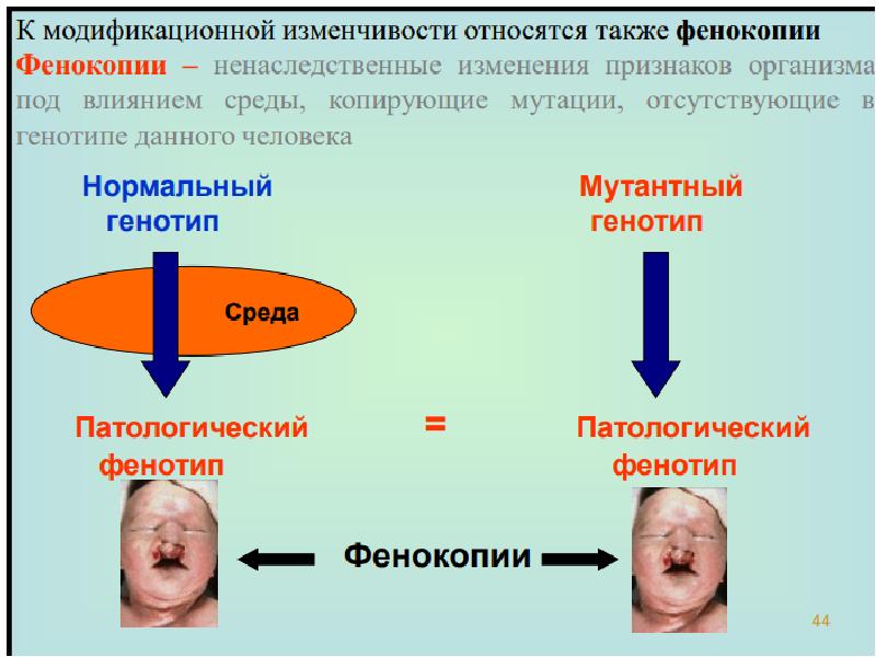 Виды мутаций фото