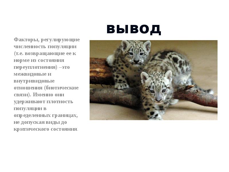 Как меняется численность популяции. Регулирующие факторы популяции. численность популяции и её регуляция в природе. факторы регулирующие численность популяции. факторы влияющие на численность популяции.