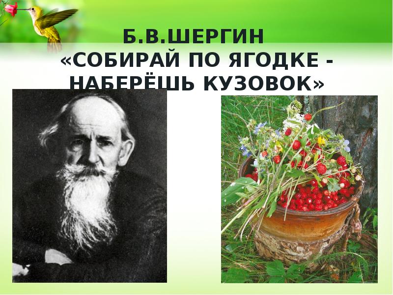 Презентация шергин собирай по ягодке наберешь кузовок презентация 3 класс