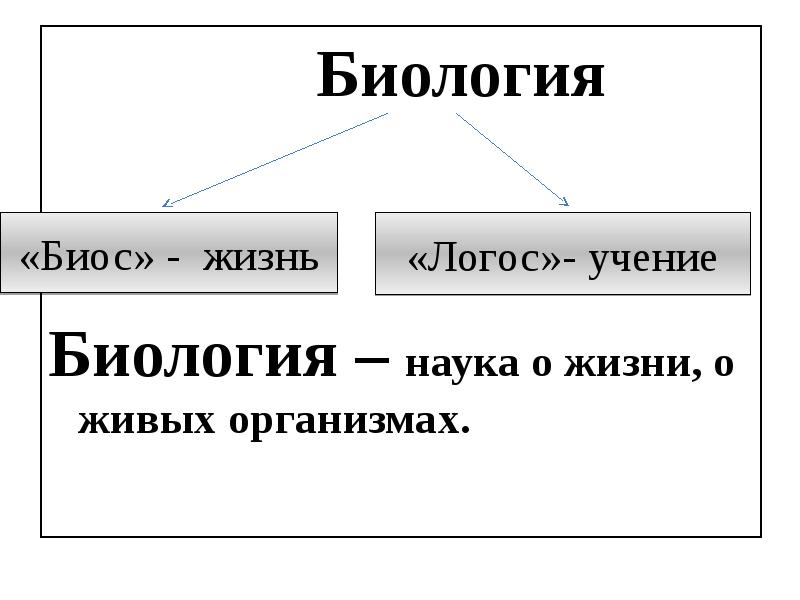 Презентация биология наука о живой природе