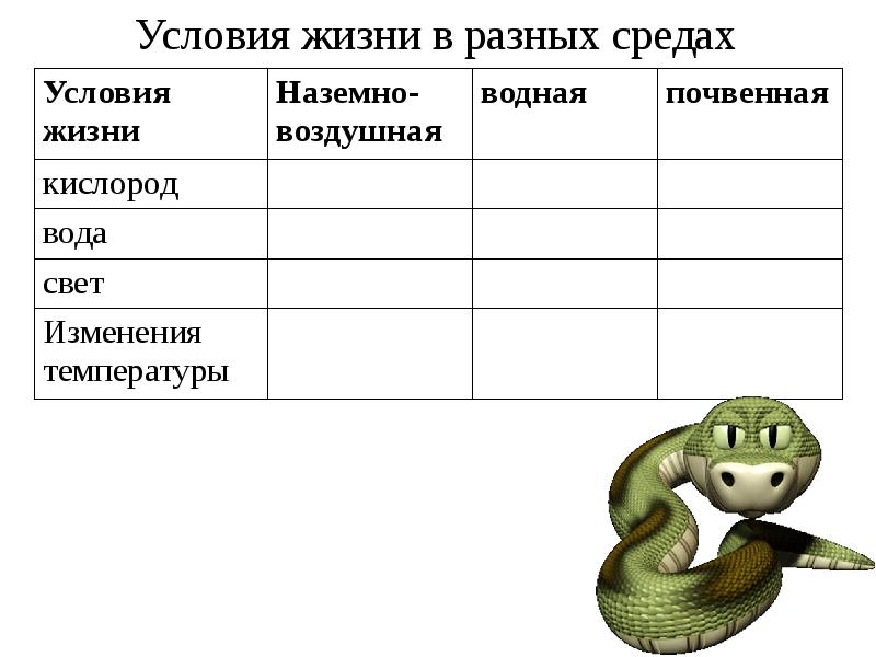 Условия в разных средах жизни. Условия жизни в разных средах. информация в разных средах. форма жизни в разных средах жизни. сравнение условий жизни в разных средах.