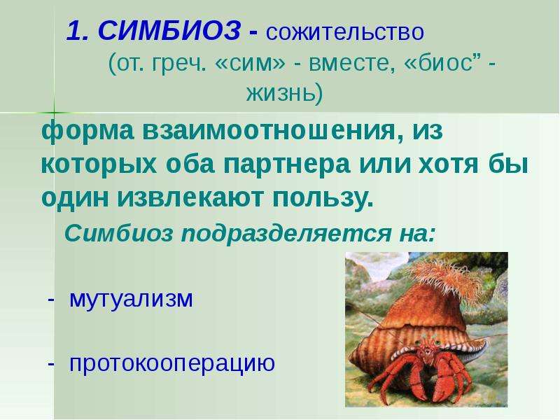 Симбиотические отношения в природе между какими организмами. Хищничество паразитизм конкуренция симбиоз. Межвидовые отношения симбиоз. Межвидовые взаимоотношения симбиоз. Паразитизм конкуренция симбиоз.