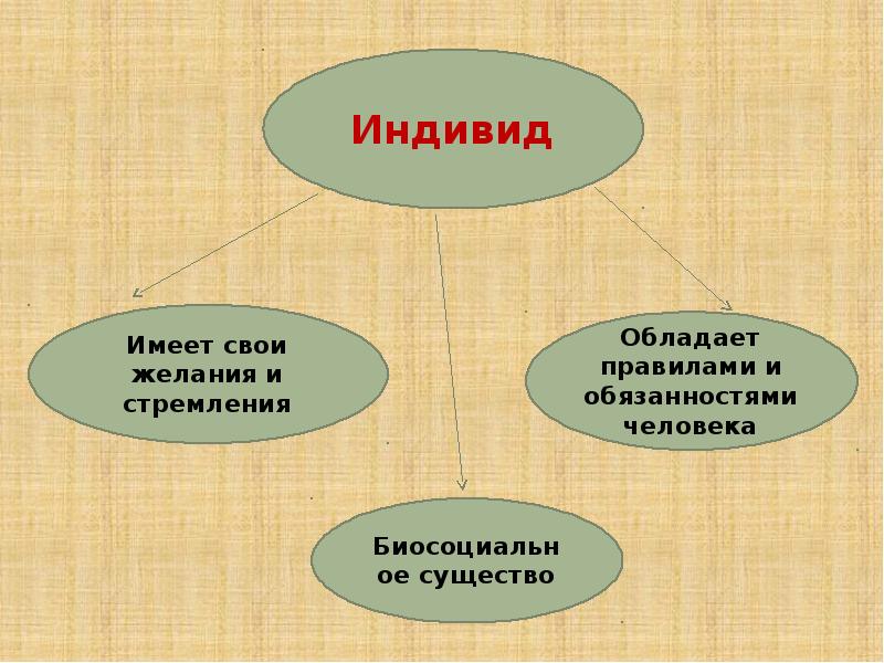 Индивид проект презентация