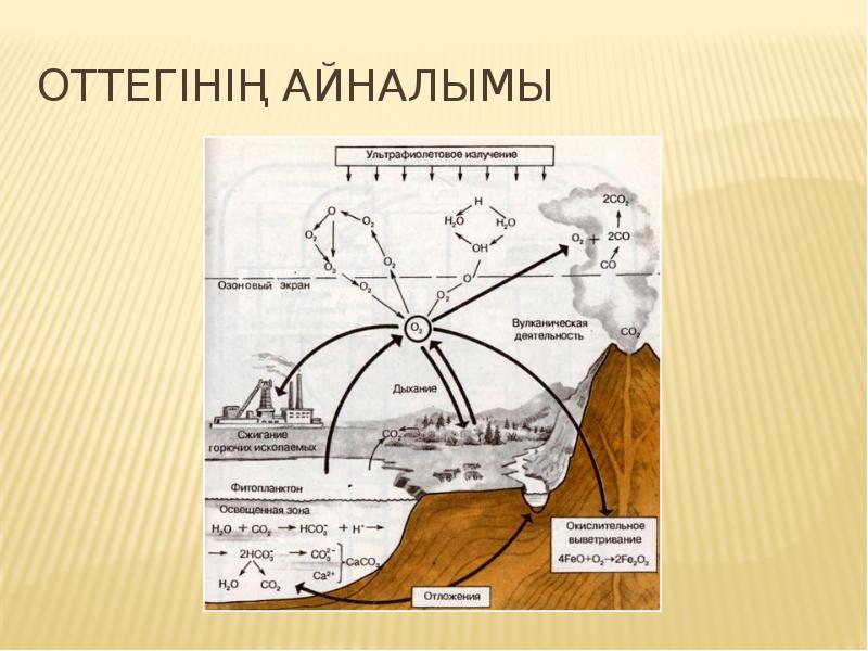 Табиғаттағы су айналымы презентация