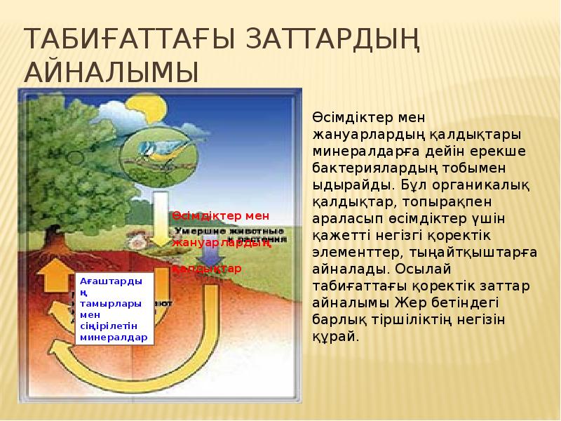 Табиғаттағы су айналымы