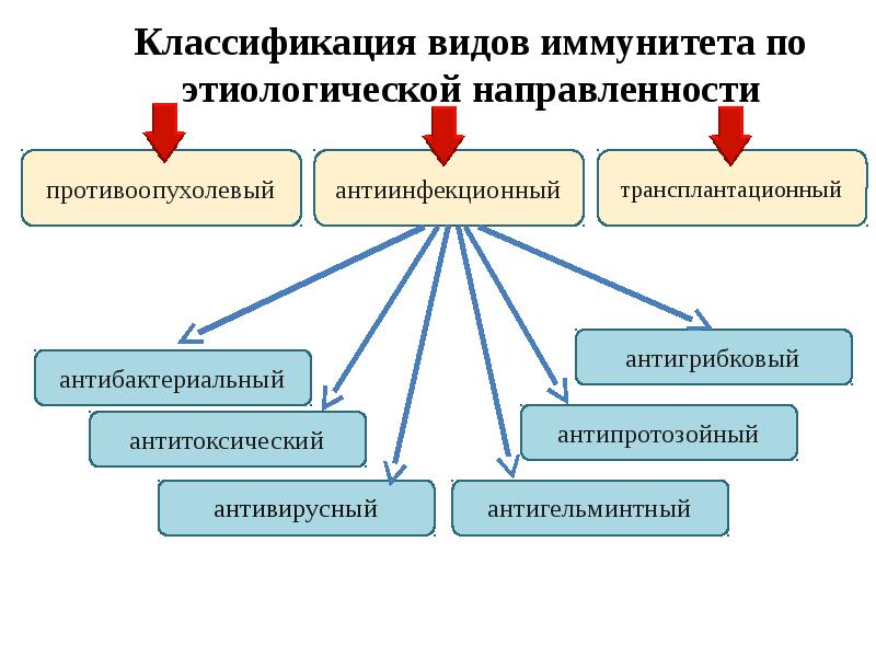 Противоинфекционный иммунитет презентация