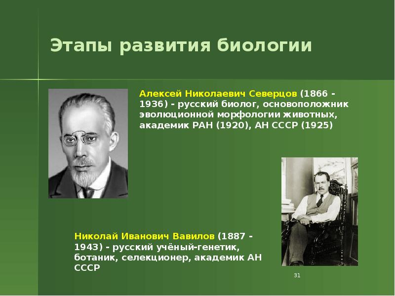 Этапы развития биологии Этапы развития биологии