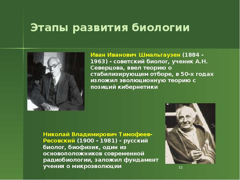 Этапы развития биологии Этапы развития биологии