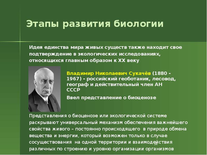 Этапы развития биологии Этапы развития биологии