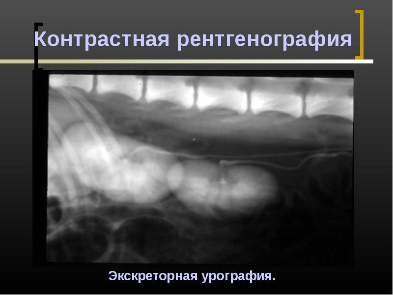 Презентация по рентгенографии