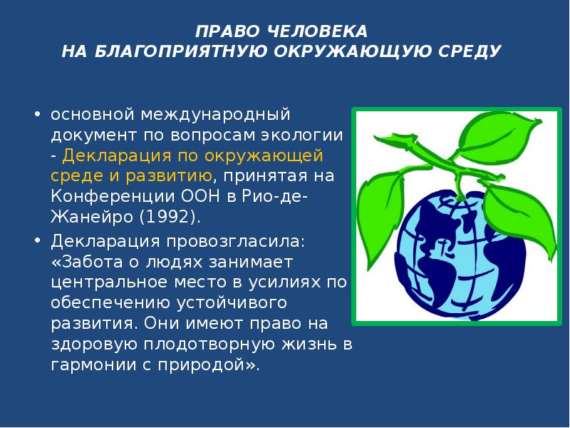 Как вы понимаете фразу благоприятная окружающая среда. Право на благоприятную окружающую среду.