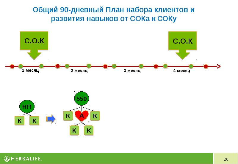 90 дневный план гербалайф