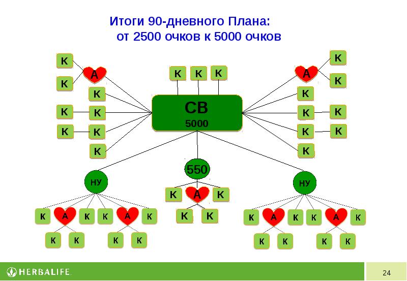 90 дневный план гербалайф