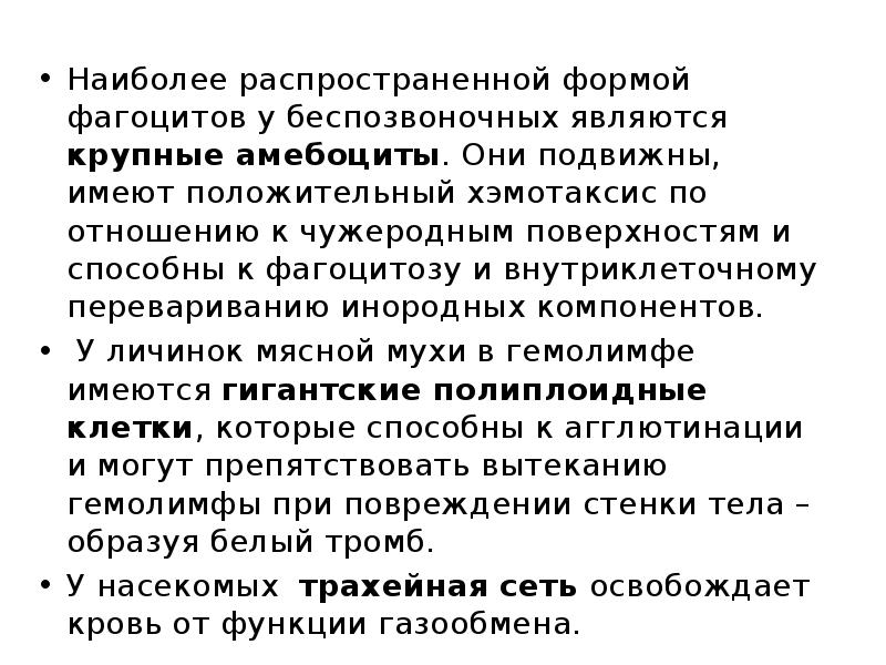 Наиболее распространенной формой фагоцитов у беспозвоночных являются крупные амебоциты. Они подвижны, Наиболее распространенной формой фагоцитов у беспозвоночных являются крупные амебоциты. Они подвижны,