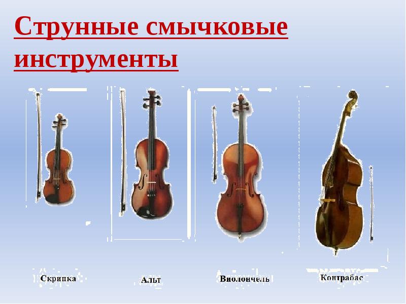Музыкальные струнные инструменты фото с названиями