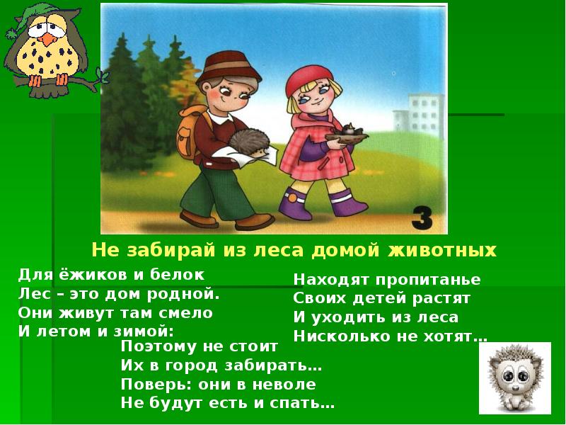 Лес это богатство правила поведения в лесу занятие в старшей группе презентация