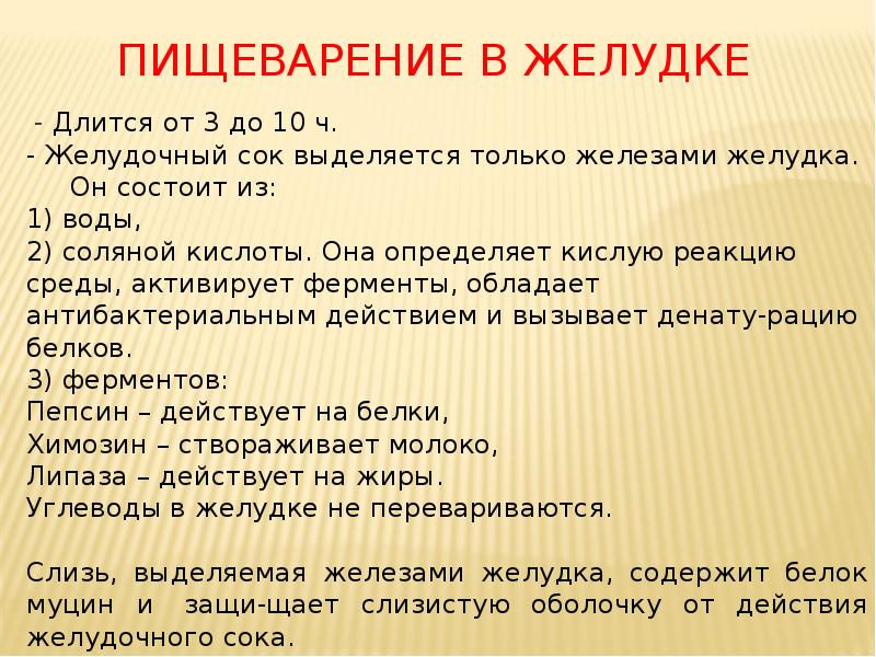 Пищеварение в желудке
- Длится от 3 до 10 ч. Пищеварение в желудке
- Длится от 3 до 10 ч.