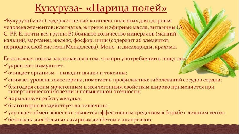 Кукурузная эпопея презентация