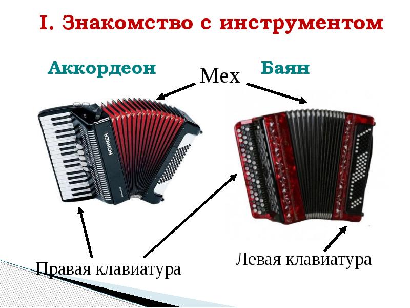 Гармонь баян аккордеон разница фото как отличить