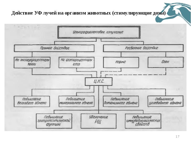 Физиотерапия схема 8 видов