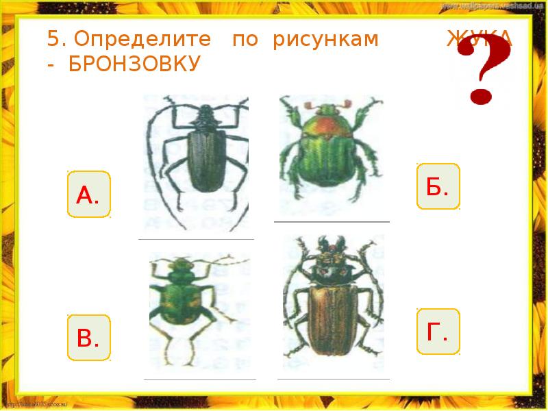 Окружающий мир 2 класс впереди лето видеоурок