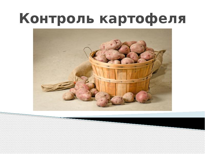 Картошка презентация для детей