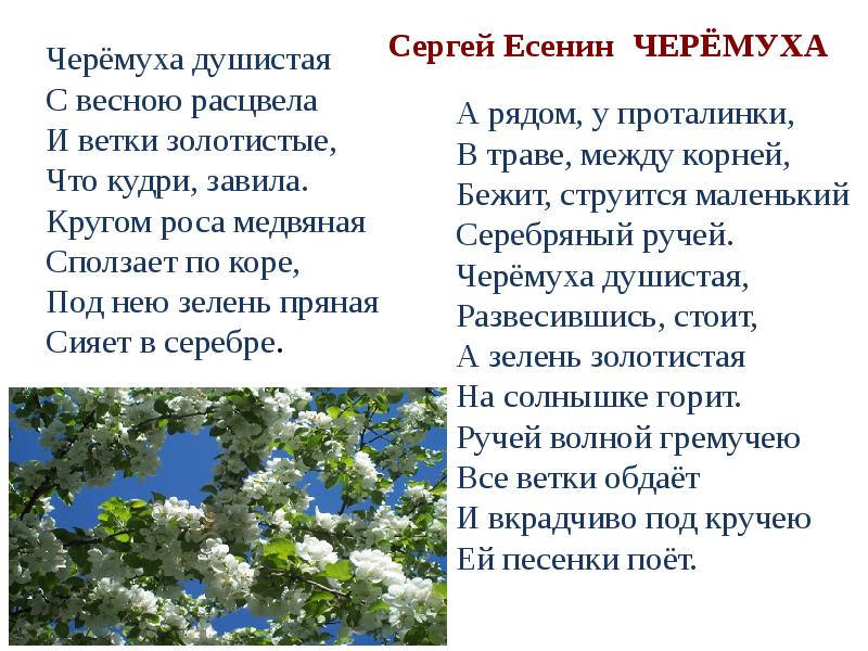 А блок весенний дождь загадки про весну 2 класс конспект урока и презентация