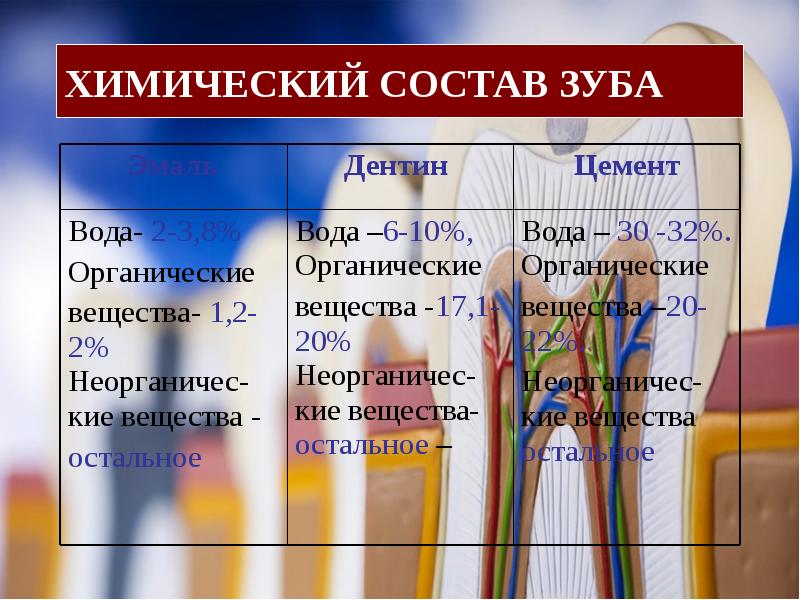 Биохимия тканей зуба презентация