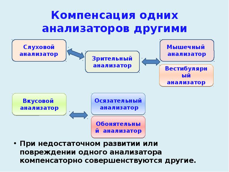 Компенсация одних анализаторов другими
При недостаточном развитии или повреждении одного анализатора Компенсация одних анализаторов другими
При недостаточном развитии или повреждении одного анализатора