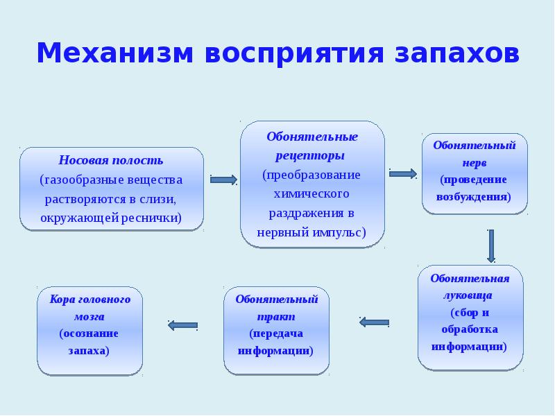 Биологические механизмы