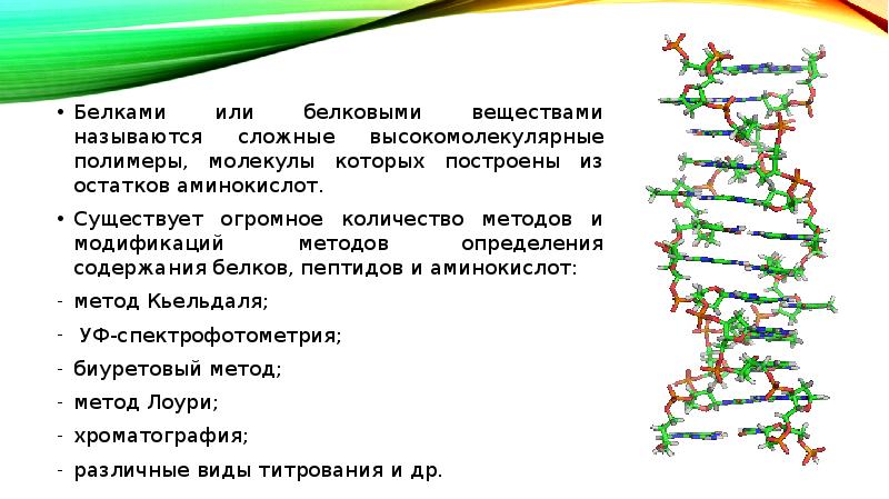 Аминокислотный остаток белка